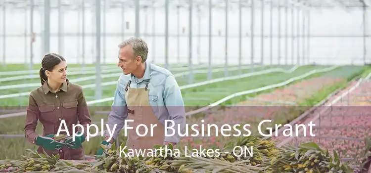 Apply For Business Grant Kawartha Lakes - ON